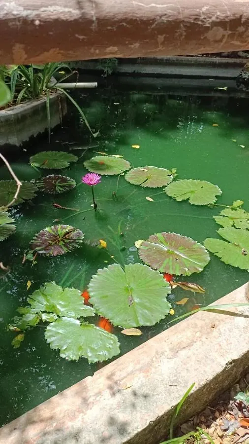 Centro Social Ecoturistico La Alberca Hotel Jose Maria Morelos