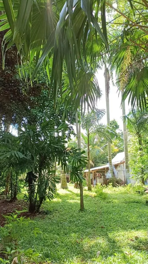 Centro Social Ecoturistico La Alberca Hotel Jose Maria Morelos